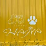 dogsalon_hana.21